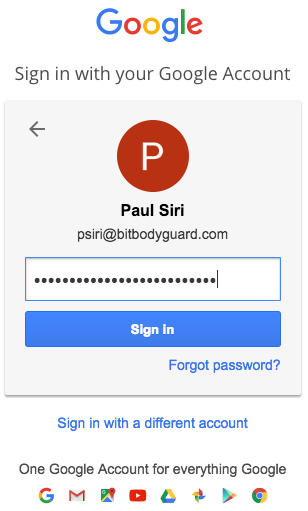 Google 2SV password